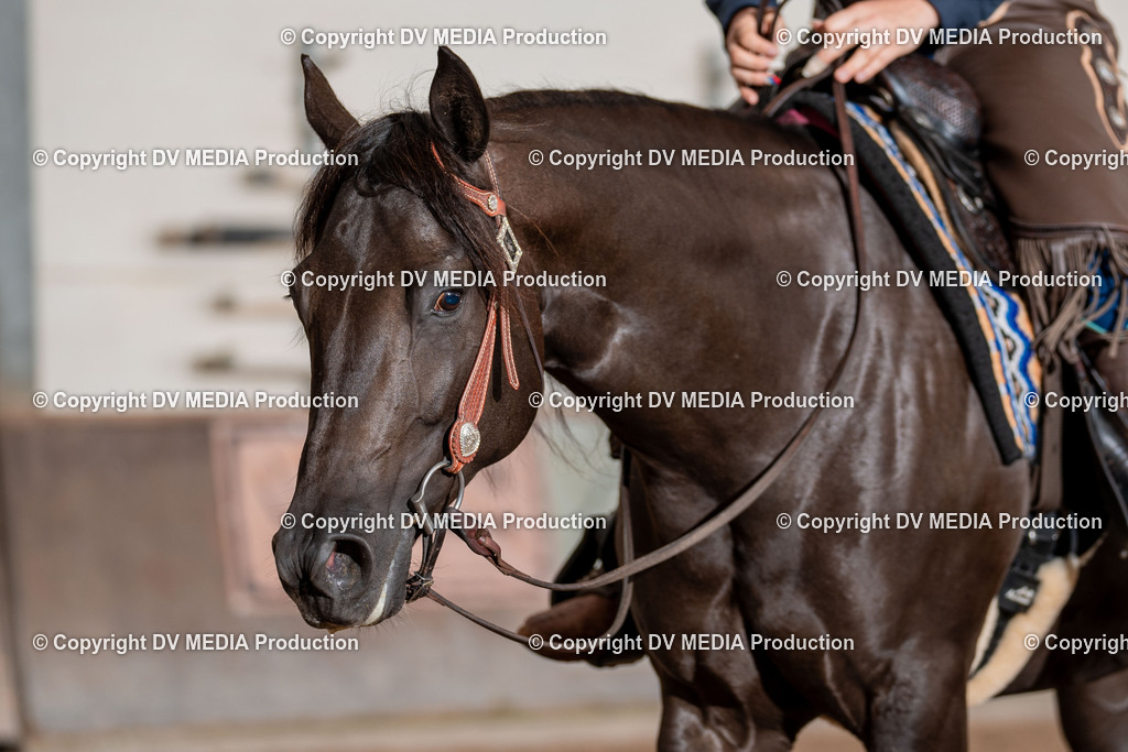 LM Heiligenwald Tag 3-161 | dv-media-shop - Realisiert mit Pictrs.com