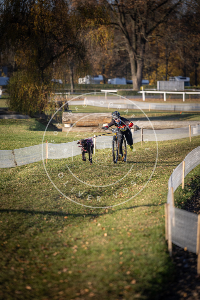 CaniXpix_DV3A1423 | Hundefotografie, Tierfotograf, Pfotenfotografie, Fotoshooting Hund, Hunde Portrait, Hundesport, Hundeportraits, Heideshooting, Hunde, Sportfotograf, Hundefotograf, Turnierhundsport, THS,  - Realisiert mit Pictrs.com