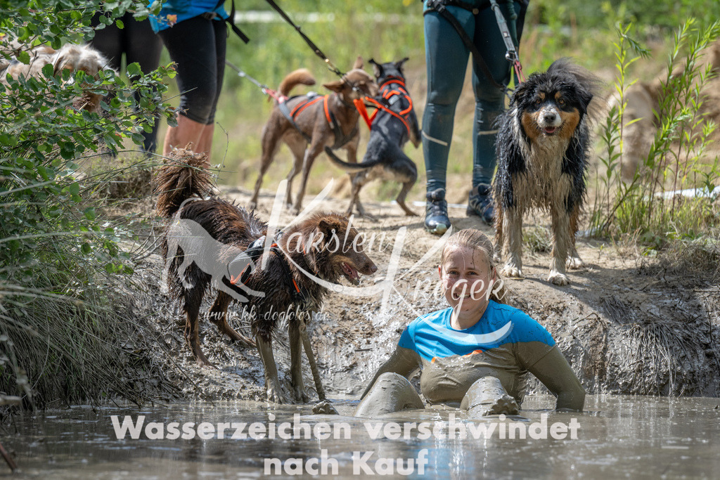 1119_ZZ91265 | kk-dogfotos