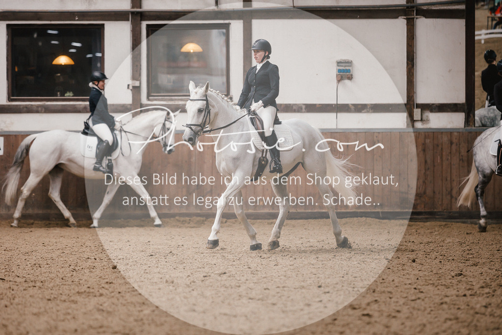 3I6A7338 | Stimmungsvolle Portraits und Reitsportfotografie im Ruhrgebiet und im Münsterland.

Pferdefotografie, Hundefotografie, Tierfotografie, Reportagen, Portraits von Tier und Mensch, Turnierfotografie in Bochum, Recklinghausen, Marl, Haltern am See, Dülmen.. - Realisiert mit Pictrs.com