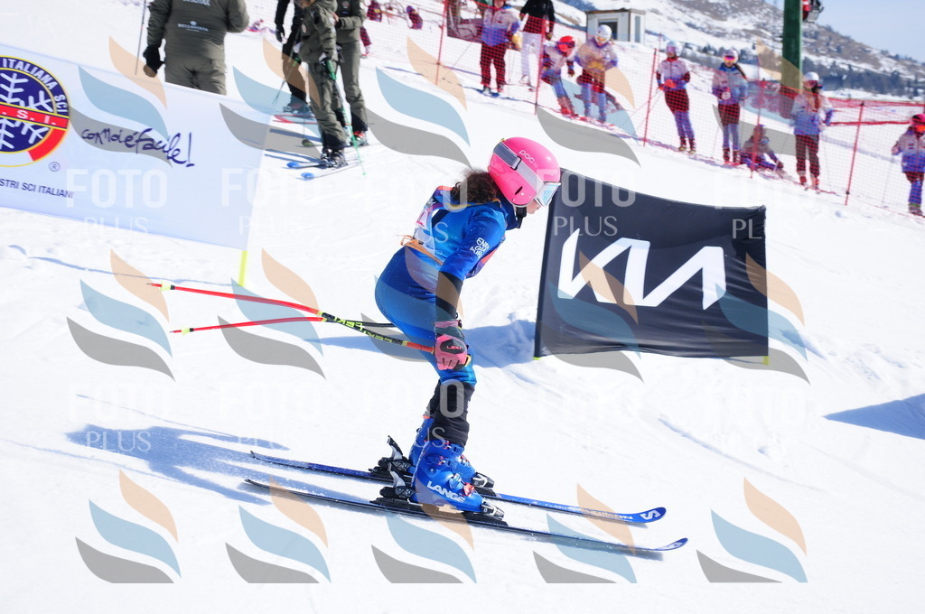 DSC_3973 | holidayphoto