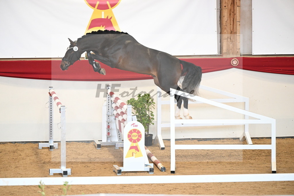 Kat.-Nr. 10 v. Chubakko_Ottmann_2251096 | hf-fotografie - Realizzato con Pictrs.com