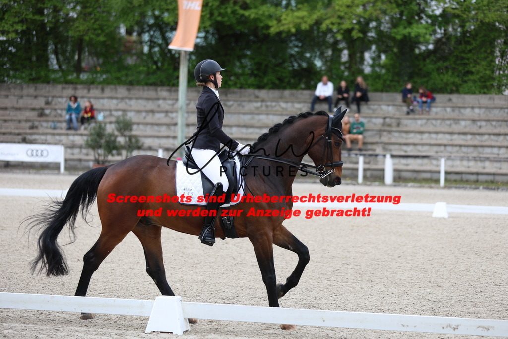 A40A4114 | lmwpictures - Realisiert mit Pictrs.com