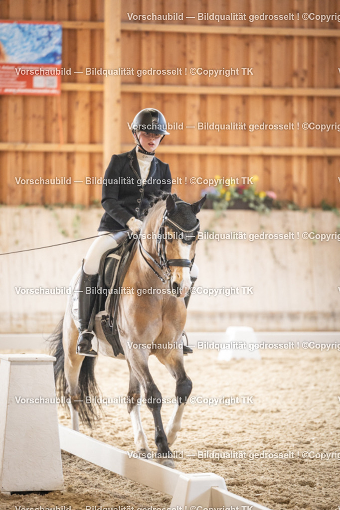 _D5A9092 | Emotionale Pferde- & People-Fotografie rund um Heidelberg, Leimen & Umgebung. Natürliche Fotos von Pferd, Mensch & Familie. Jetzt Termin sichern!