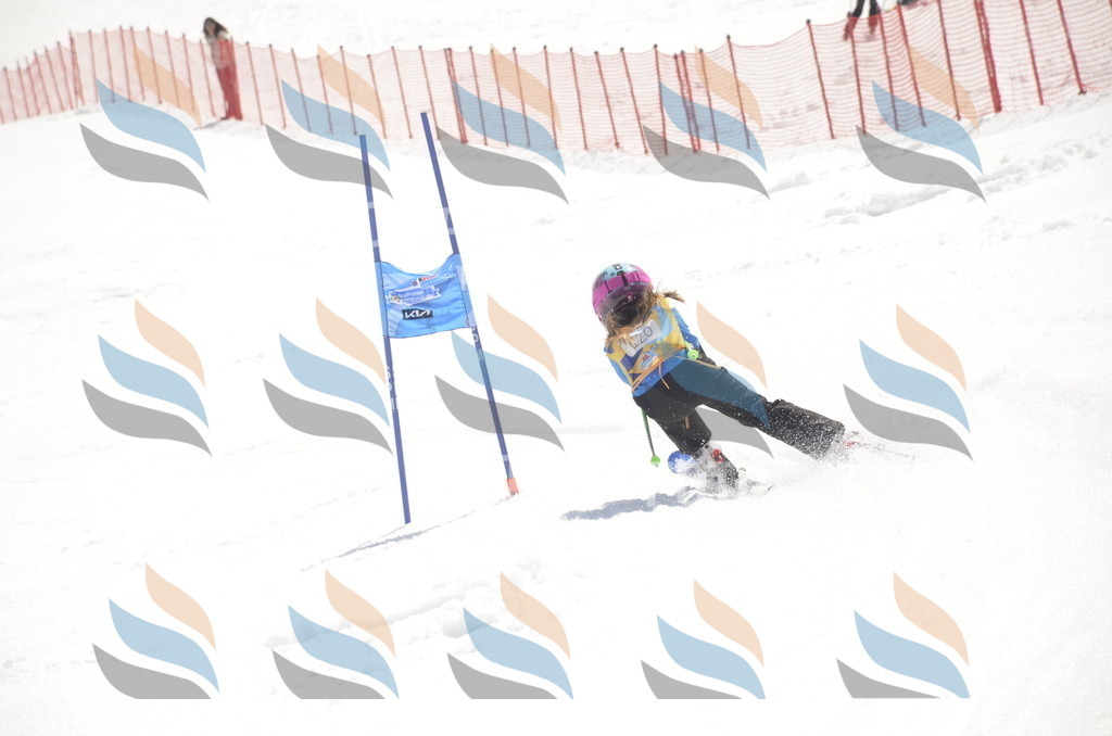 _ELE9570 | holidayphoto