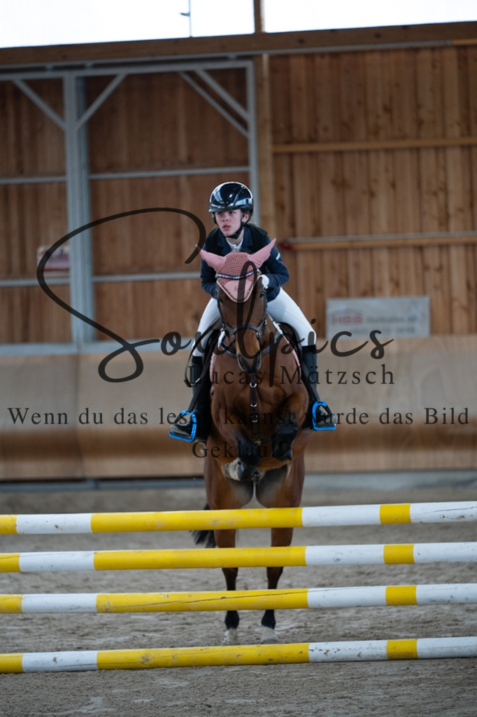 A7V00179 | Pferdefotograf