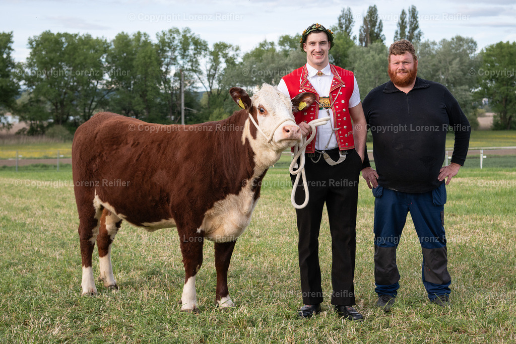 Schwingen -  Thurgauer Kantonales 2024 | Ermatingen, 5.5.24, Schwingen - Thurgauer Kantonales.