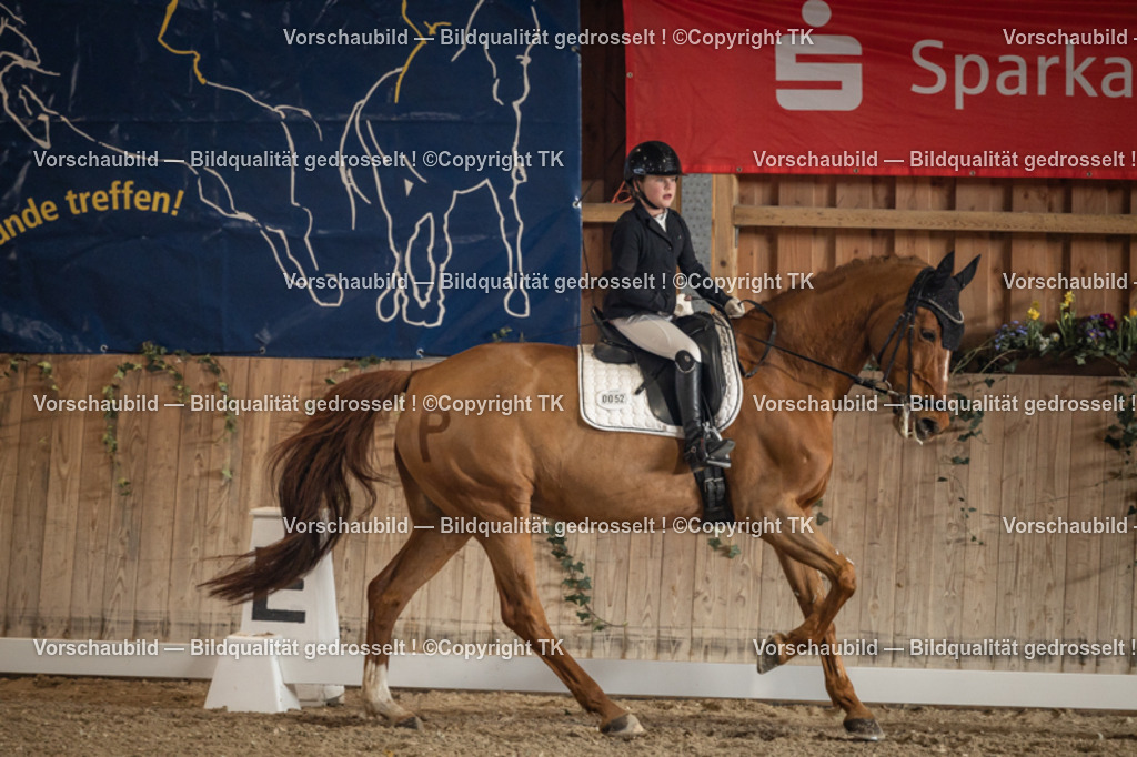 _D5A1083 | Emotionale Pferde- & People-Fotografie rund um Heidelberg, Leimen & Umgebung. Natürliche Fotos von Pferd, Mensch & Familie. Jetzt Termin sichern!