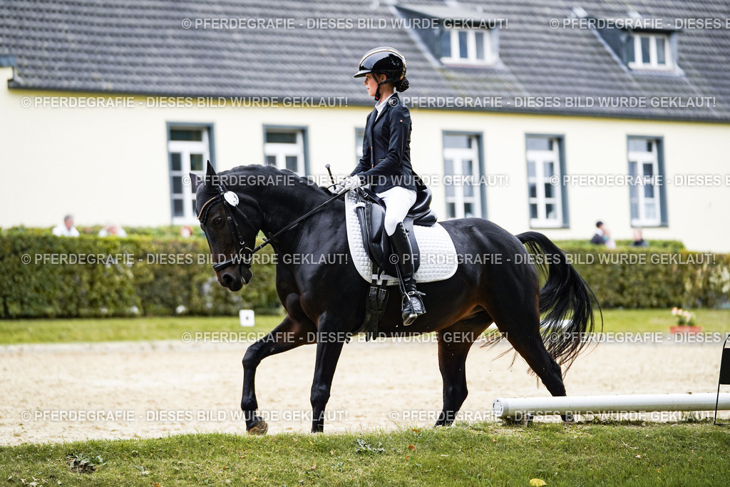 DSC09550 | Pferdegrafie