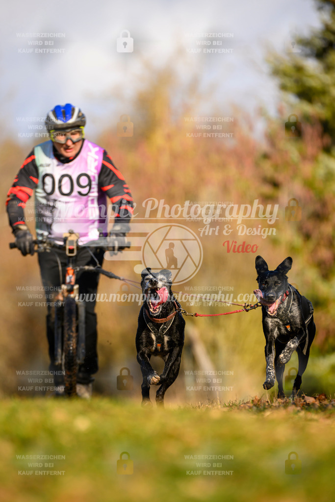 MompixPhotography_10Schwabentrail2026_SO_Scooter-20 | PayLife