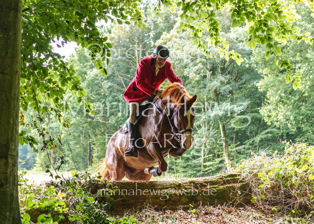 Jagd Knoop 26_MarinaHewigMCH02409 | Fotografie, FotoArt, PferdesportArt, Pferdesportfotografie, Landschaftsfotografie, Reisefotografie, Reise, Pferde - Realisiert mit Pictrs.com