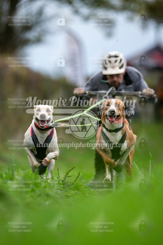 TSB_2023_E8_DS2-10 | PayLife