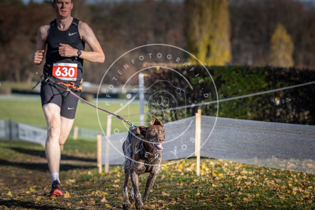 CaniXpix_DV3A0108 | Hundefotografie, Tierfotograf, Pfotenfotografie, Fotoshooting Hund, Hunde Portrait, Hundesport, Hundeportraits, Heideshooting, Hunde, Sportfotograf, Hundefotograf, Turnierhundsport, THS,  - Realisiert mit Pictrs.com
