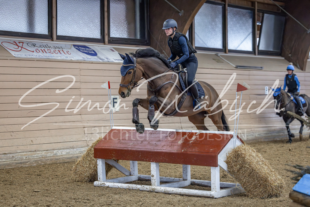 20260221-_3LI9378 | Tierfotografie Pferde, Hunde, Katzen, Haustiere.
Turnierfotografie Reitturniere, Reiten, Springreiten, Dressur in Hanau, dem Main-Kinzig-Kreis und dem Rhein-Main- Gebiet um Frankfurt