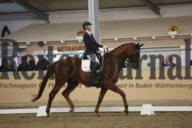 Waghäusel-Wiesental_2024_Prfg.Nr.08_1.WP_U25_sabine Schmidt_Quickstepp II (1) | Alle Fotos der Reiterjournal Fotografin Doris Matthaes im Reiterjournal Online-Fotoshop. - Realisiert mit Pictrs.com
