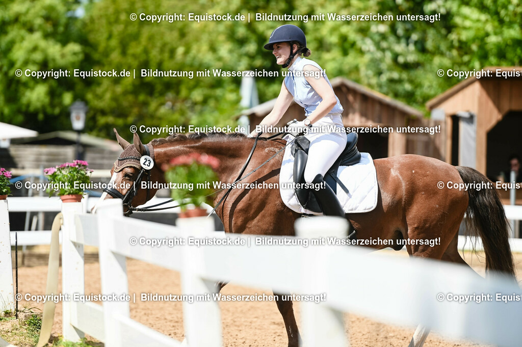 20230716_01_Dressurprüfung Kl.M_0280 | equistock