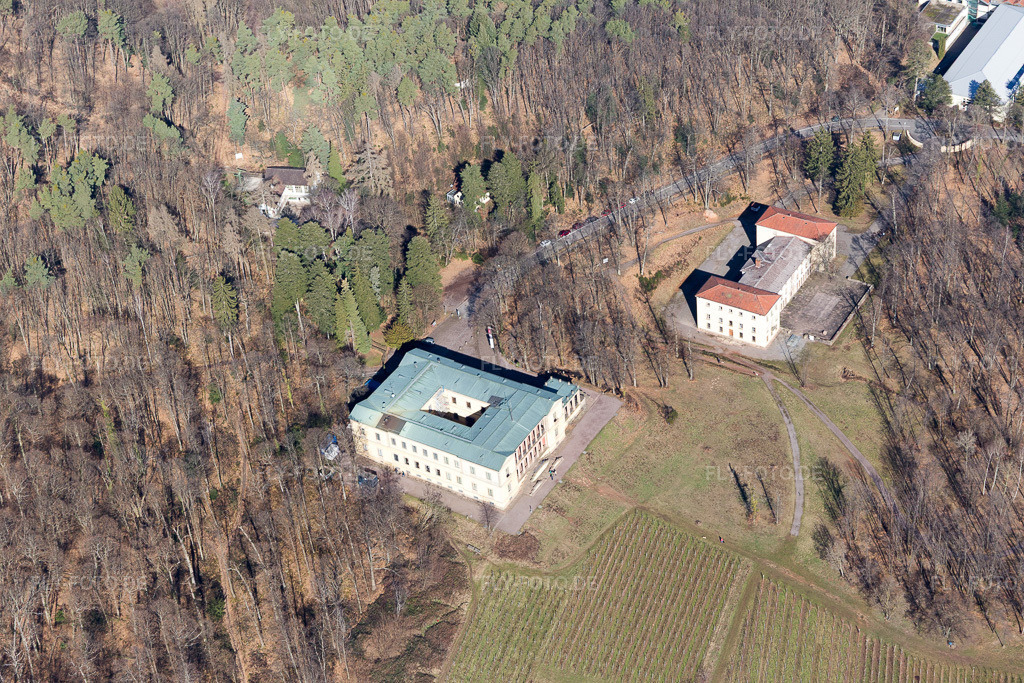 Luftbild: Schloss Villa Ludwigshöhe und vinification Ludwigshöhe in Edenkoben im Bundesland Rheinland-Pfalz in Deutschland. Foto: IMG_097055.jpg vom 25.02.2017 durch Werner Riehm/FLY-FOTO.de