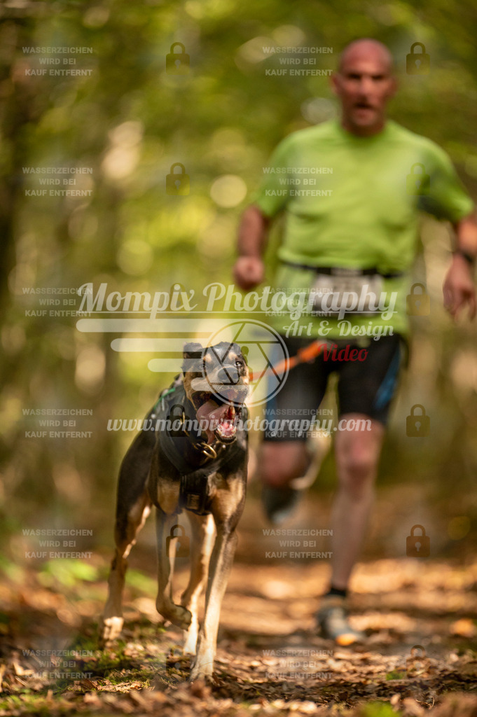 TSB_2023_E1_Canicross-162 | PayLife