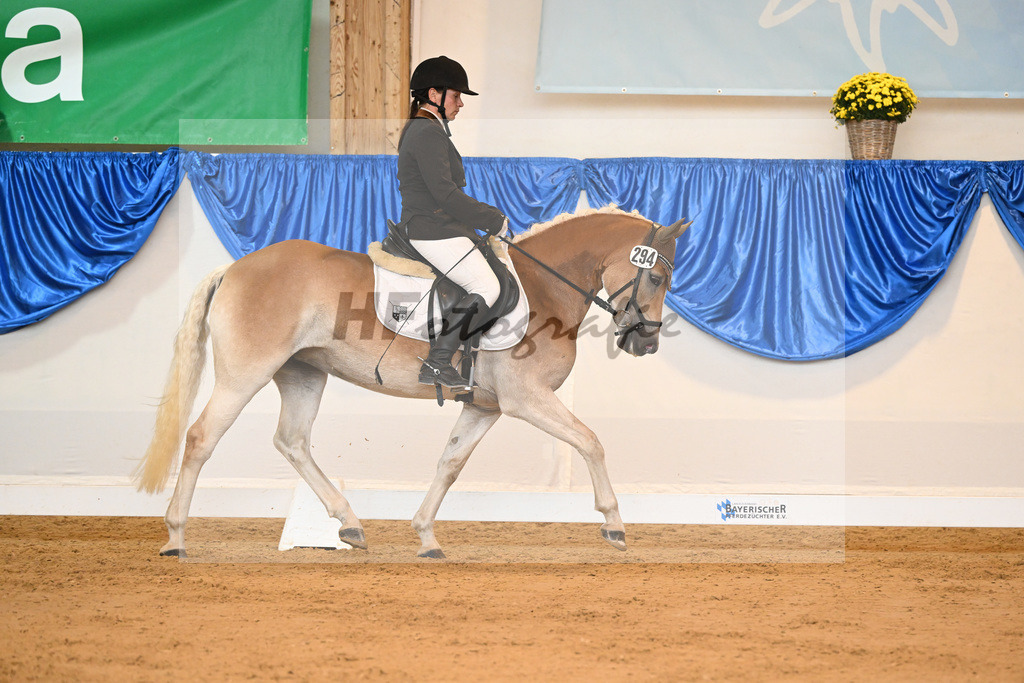 Kat-Nr. 294 High Nobility B_Bonitz_54221732 | hf-fotografie - Realisiert mit Pictrs.com