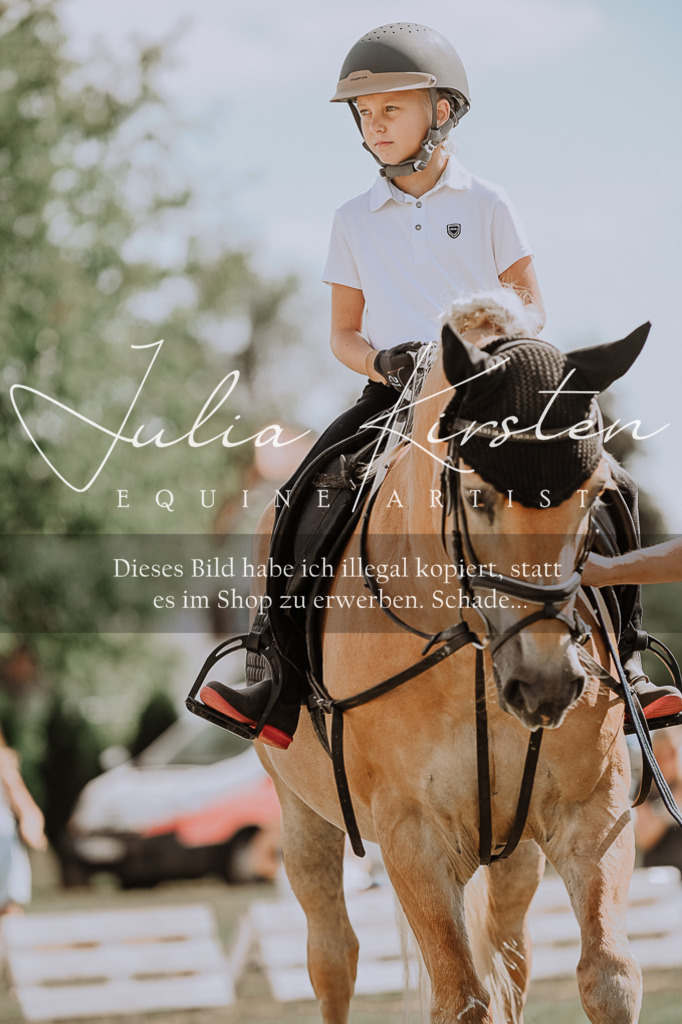 DSC_7788 | Pferde- und Turnierfotografie in Westsachsen. Pferdeportraits, Auftragszeichnungen und intuitive Kunst.