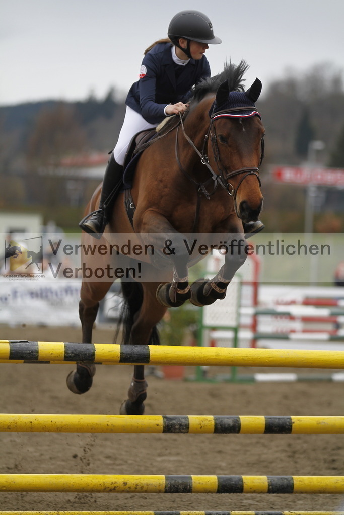 _MG_5966 | equestrian-live-com