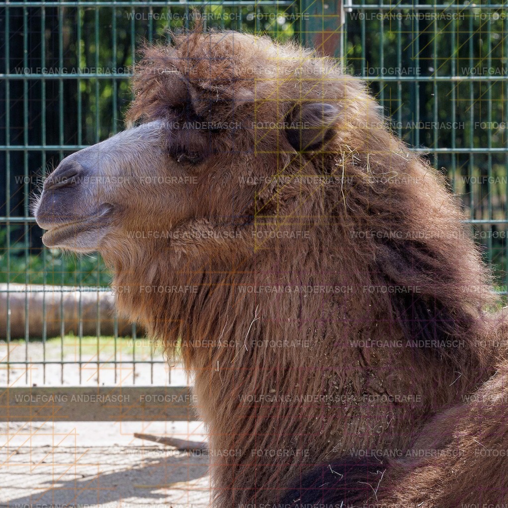 2026414-123455Zoo_Frankfurt100L0762_finish | Im Zoo Frankfurt zeigt sich genau das: kleine Momente, echte Begegnungen, ungefilterte Emotion. - Realisiert mit Pictrs.com
