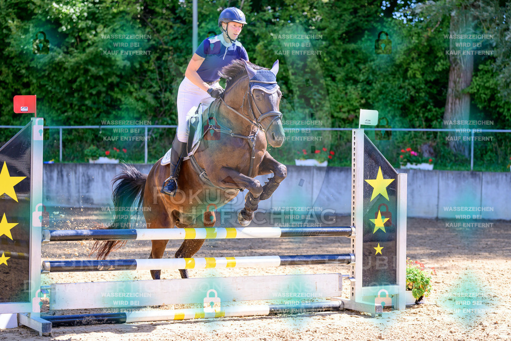 29082026-Giesenbach-Prfg10-0465 | Fokus Hufschlag Fotografie - Realisiert mit Pictrs.com
