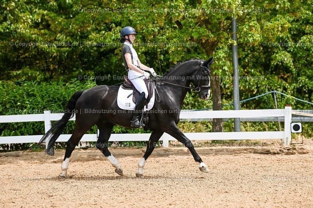 20230715_05_Dressurprüfung Kl.A++_0149 | equistock