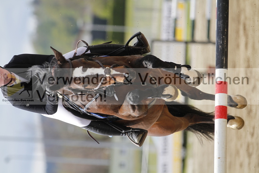 _MG_8047 | equestrian-live-com