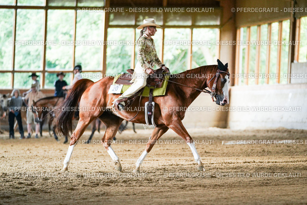 DSC05746 | Pferdegrafie