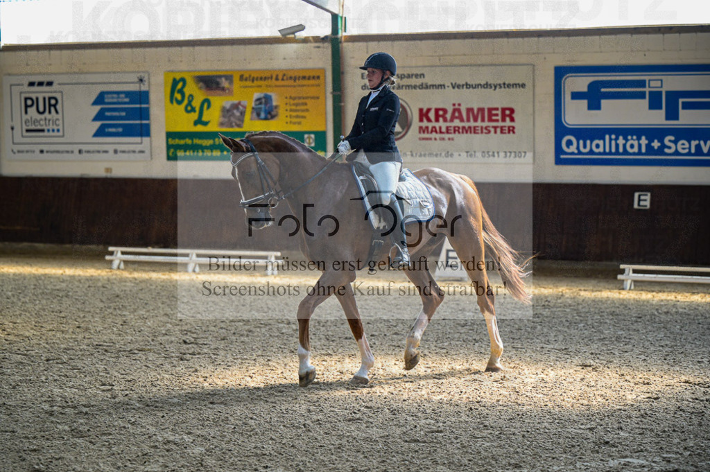 Reitturnier Voxtrup | Entdecke hochwertige Reitturnierfotos von Foto Oger. Professionell, emotional und authentisch – jetzt Lieblingsmomente im Shop bestellen.Deutschlandweite Turnierfotografie. - Realisiert mit Pictrs.com