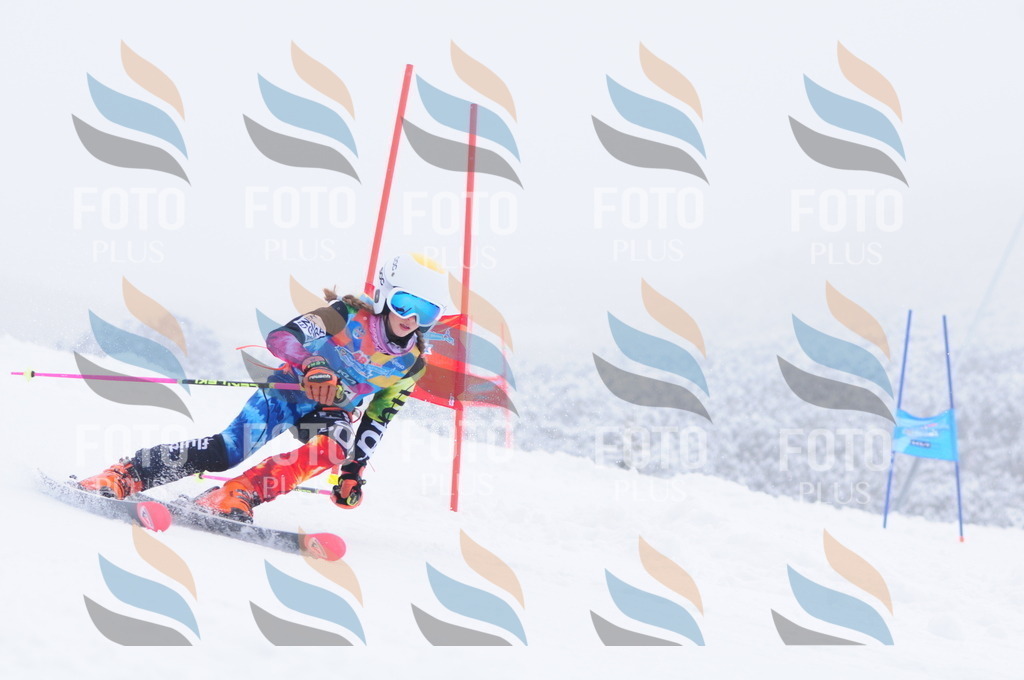 C2582 | holidayphoto