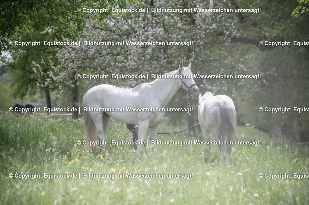 20250516_Impressionen_0061 | Foto: Thomas Hartig