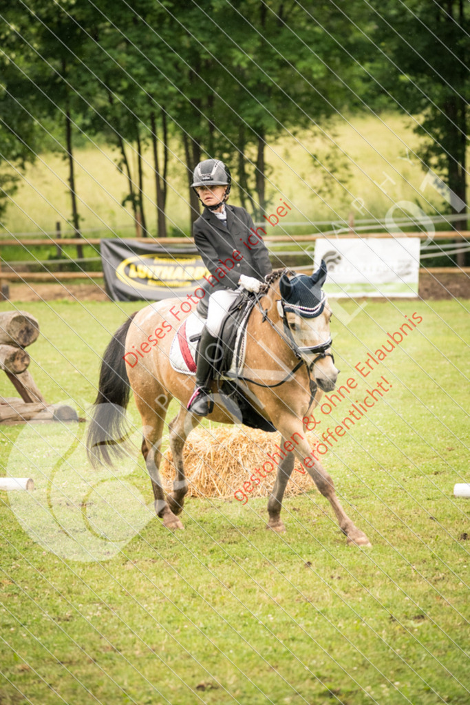 DSC_4813 | Sport-, Event- und Tierfotos in Profiqualität. Einfach auswählen, bestellen und herunterladen. Dein Moment – perfekt festgehalten.