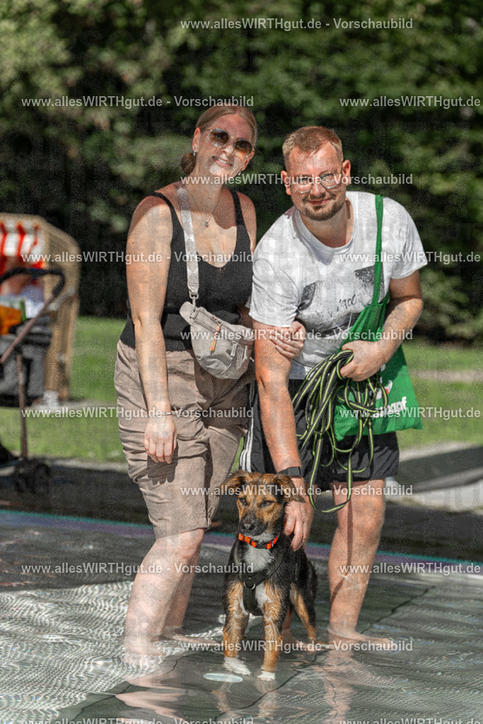 Hundeschwimmen_Volksbad_2026-allesWIRTHgut_Tierfotografie-2609061400-7R501018 | Professionelle Tierfotografie in Mönchengladbach von Daniel Wirth (allesWIRTHgut). Liebevolle & natürliche Bilder von Hunden & Katzen für unvergessliche Erinnerungen.