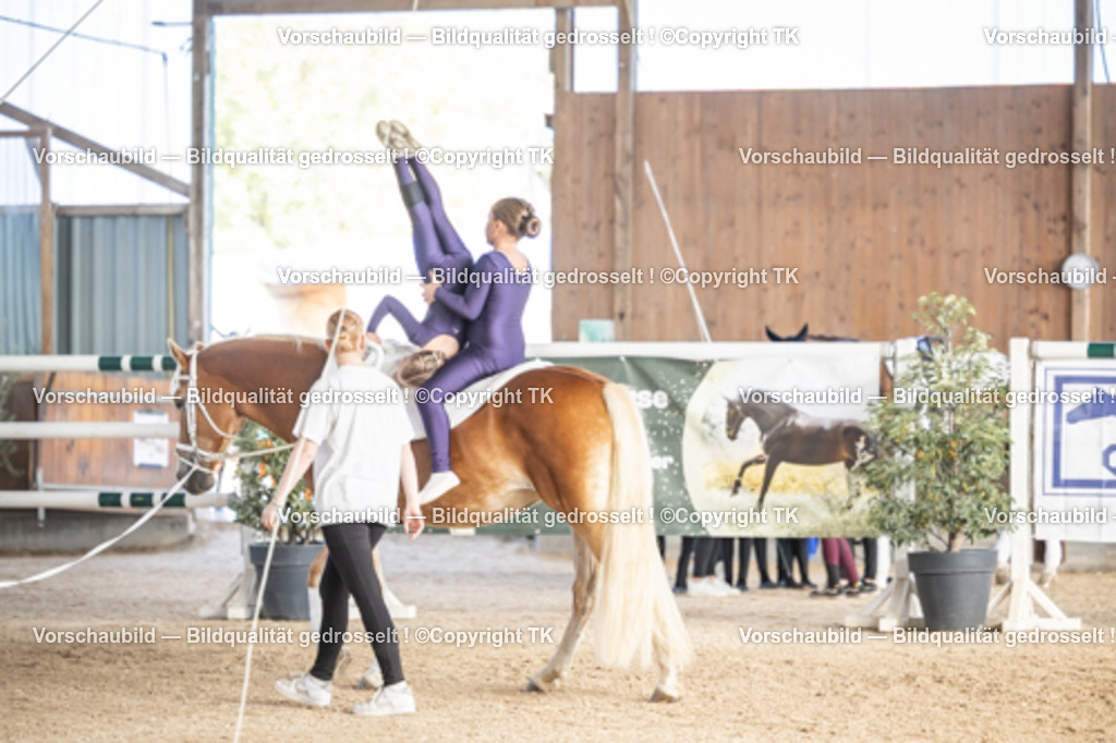 _D5A6811 | Emotionale Pferde- & People-Fotografie rund um Heidelberg, Leimen & Umgebung. Natürliche Fotos von Pferd, Mensch & Familie. Jetzt Termin sichern!