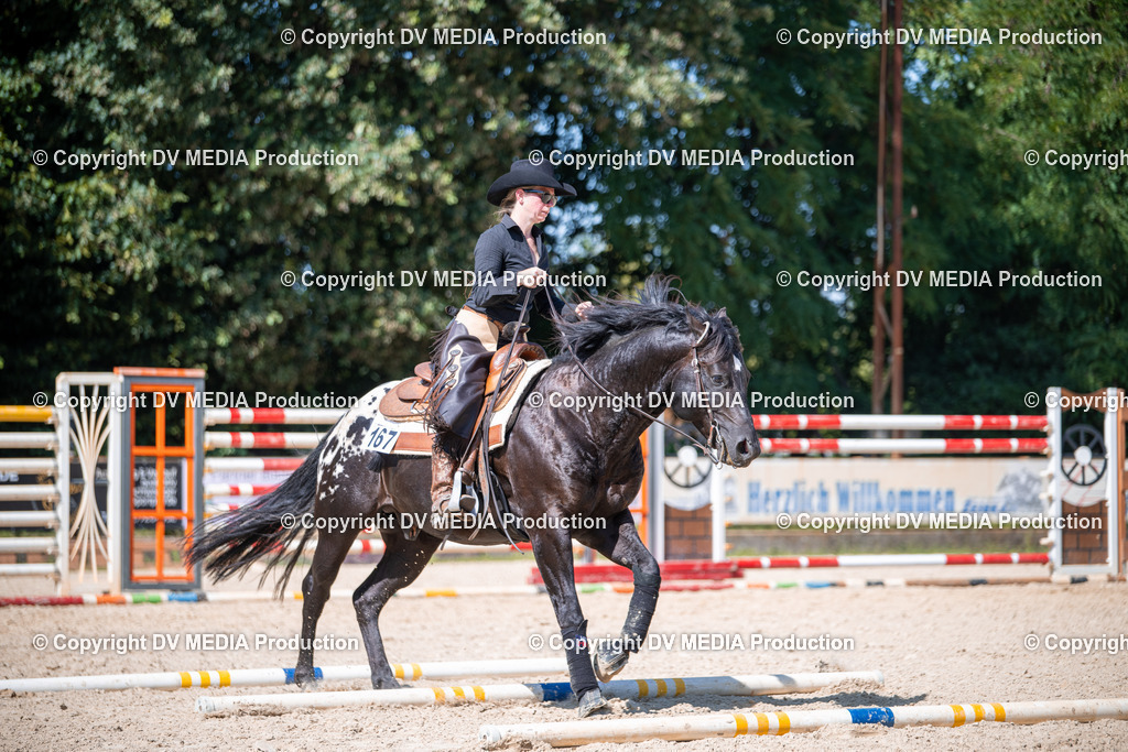 ZS1_1674 | dv-media-shop - Realisiert mit Pictrs.com