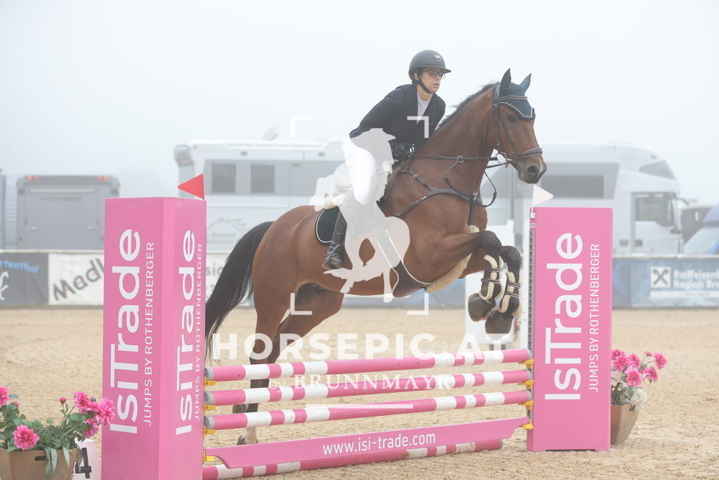0P6A0313 | Willkommen bei Brunnmayr - Design & Fotografie – Ihrem Spezialisten für Reitturniere und Pferdeveranstaltungen in Oberösterreich, Salzburg und Bayern! Seit über 17 Jahren sind wir leidenschaftlich dabei.