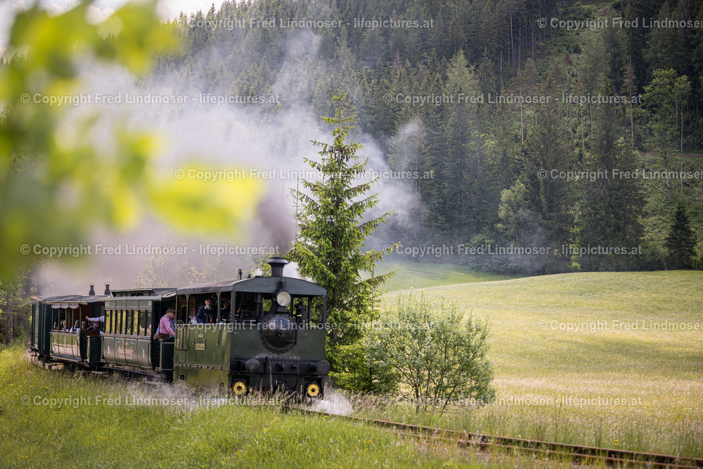 Erlaufsee Ausflugsschiff Fleissner-1448 | Fotos und Fotoprodukte - Realisiert mit Pictrs.com