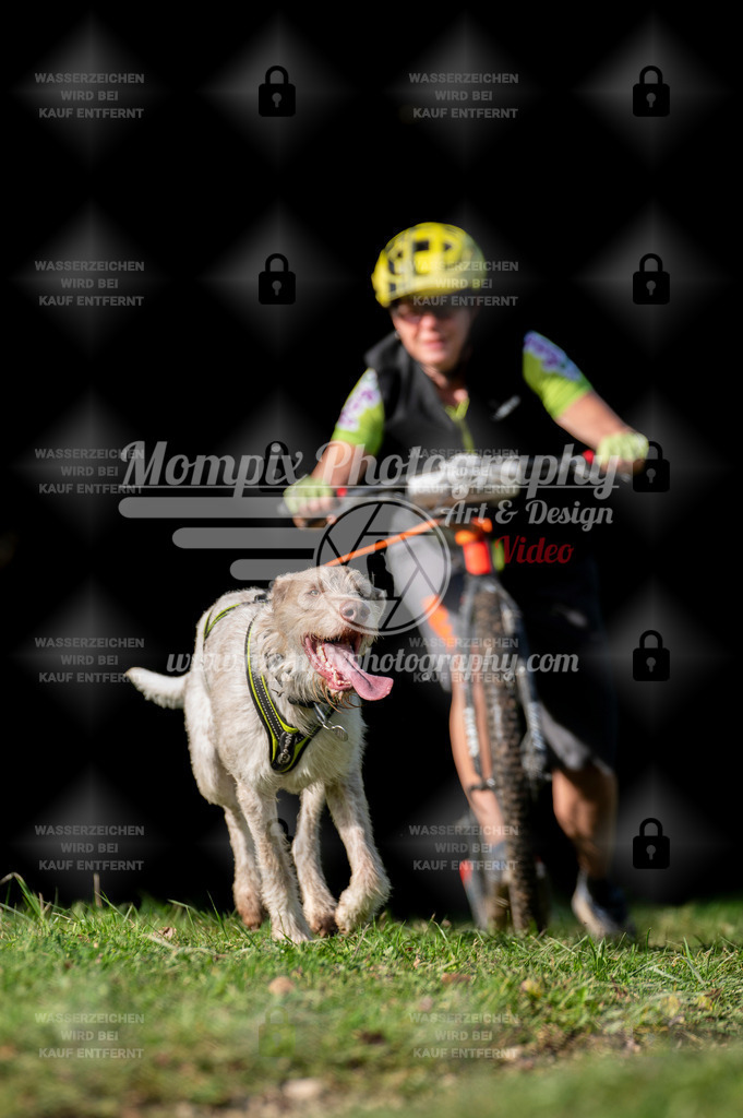 TSB_2023_E7_DS1-18 | PayLife