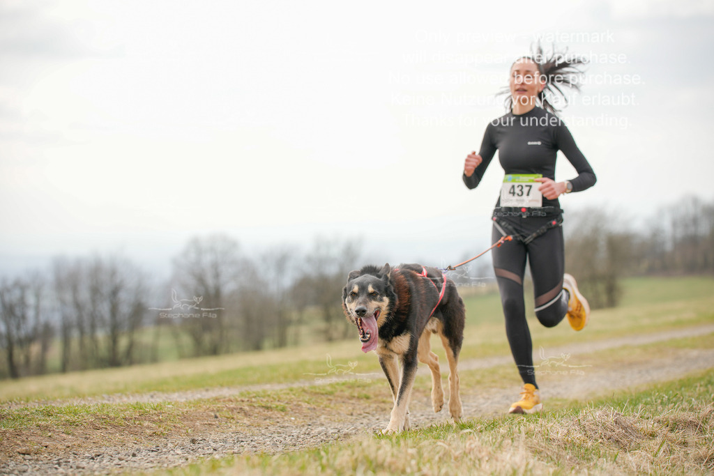 CaniXRunSA-189 | stephaniefillaphotographie - Realisiert mit Pictrs.com
