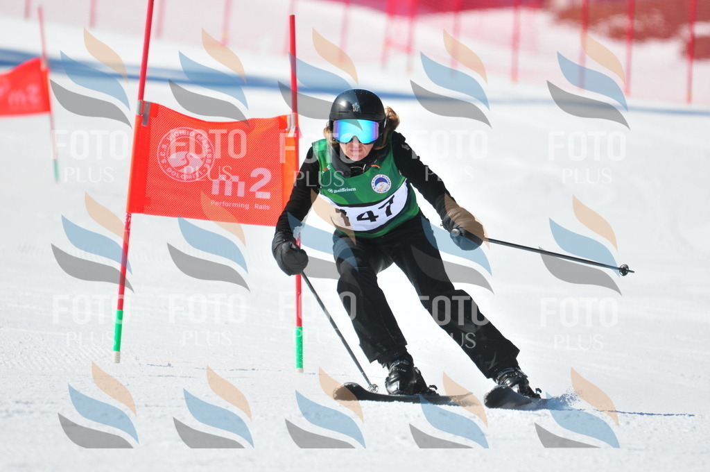 C4007 | holidayphoto