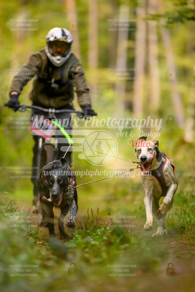 MompixPhotography_Yens2025_B2-55 | PayLife