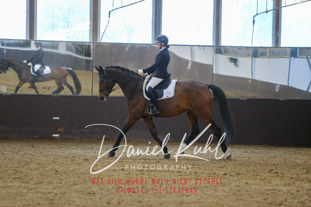 IMG_7693 | Turniersportfotografie; Pferdefotografie; Dressurfotografie