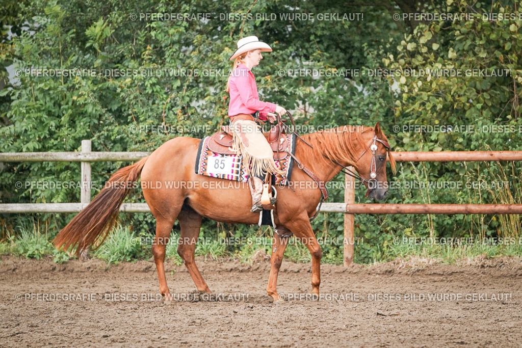 DSC07944 | Pferdegrafie