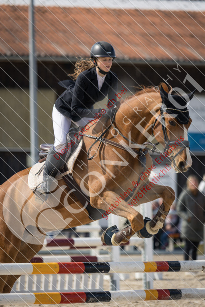 IMG_4274 | Sport-, Event- und Tierfotos in Profiqualität. Einfach auswählen, bestellen und herunterladen. Dein Moment – perfekt festgehalten.