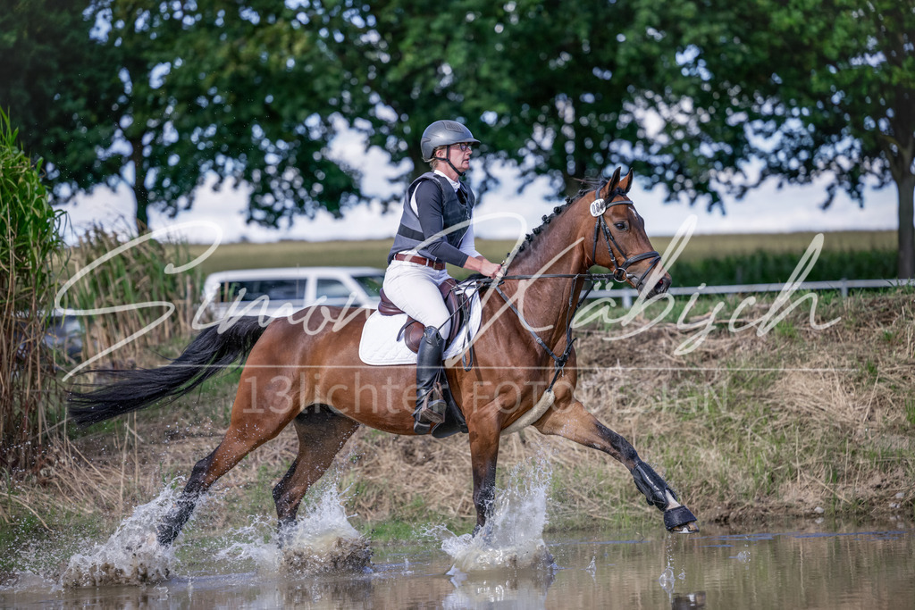 20250906-_3LI6927 | Tierfotografie Pferde, Hunde, Katzen, Haustiere.
Turnierfotografie Reitturniere, Reiten, Springreiten, Dressur in Hanau, dem Main-Kinzig-Kreis und dem Rhein-Main- Gebiet um Frankfurt