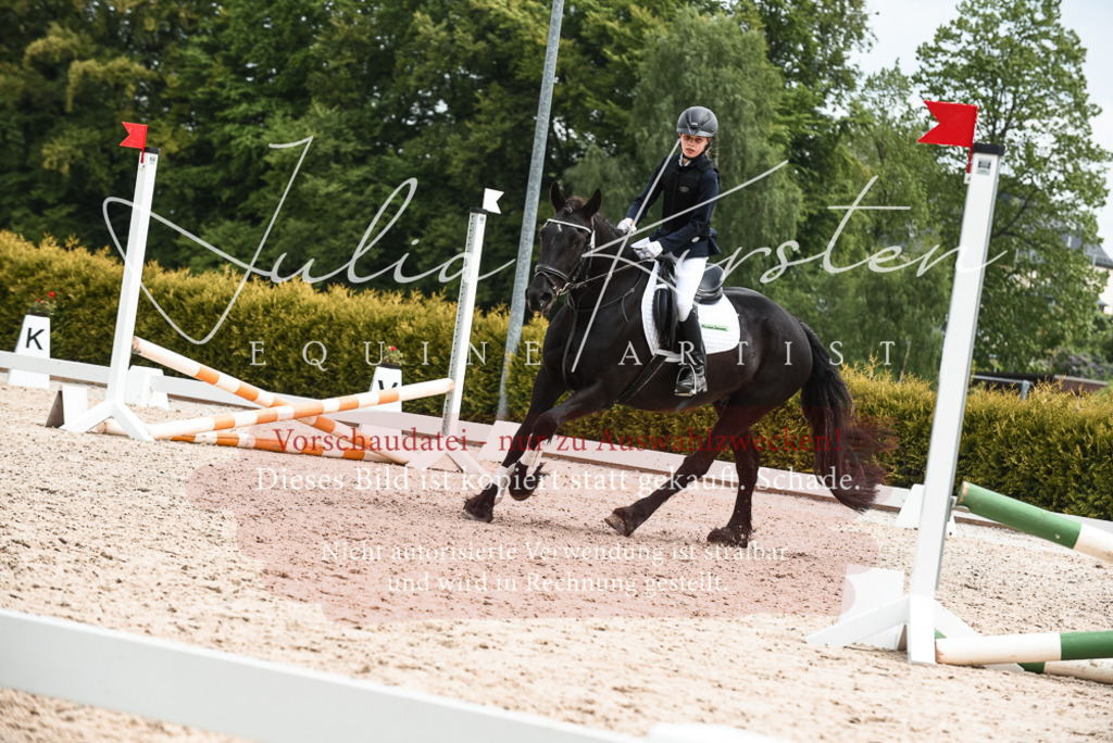 20230518_JK-Röhrsdorf-10-754 | Pferde- und Turnierfotografie in Westsachsen. Pferdeportraits, Auftragszeichnungen und intuitive Kunst.