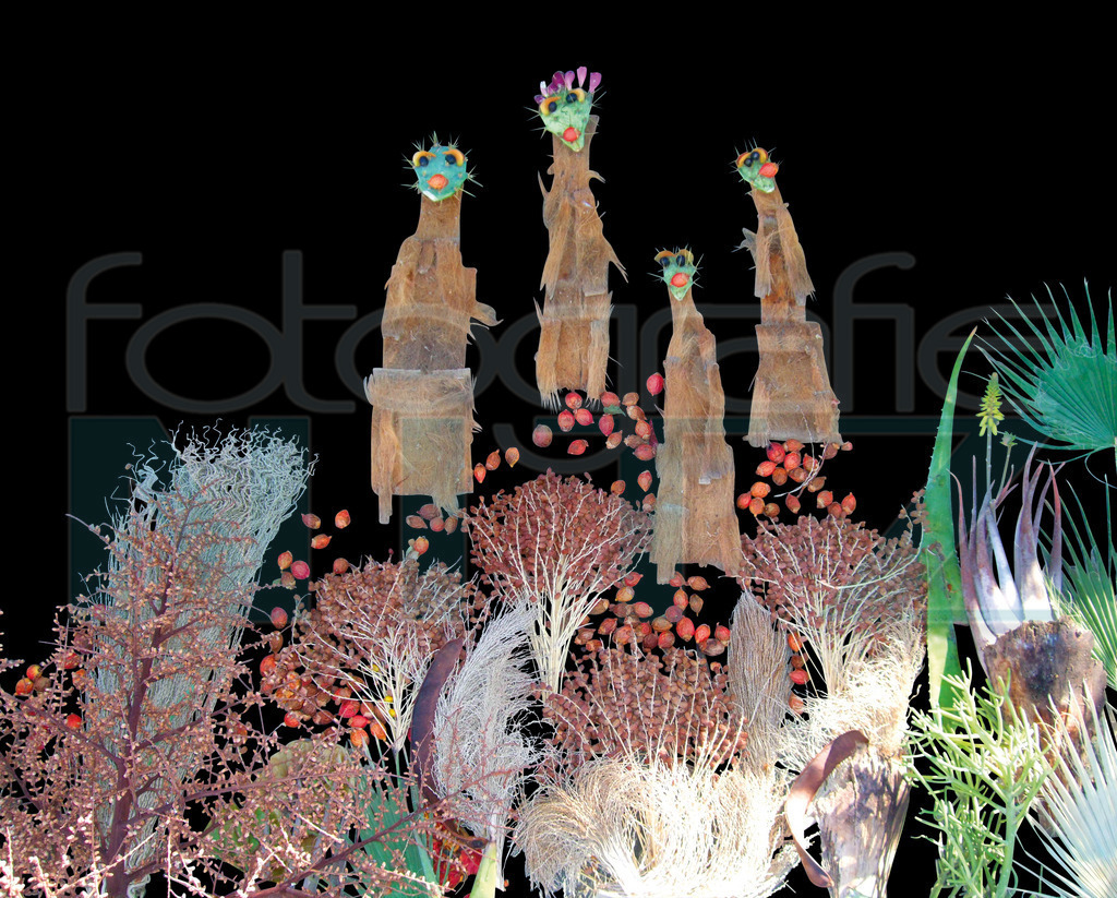 68 | Nitz Fotografie aus Montabaur bietet Ihnen hier die Möglichkeit Bilder auszusuchen und zu bestellen. 