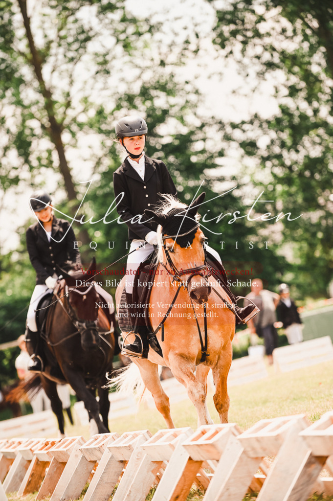 DSC_6175 | Pferde- und Turnierfotografie in Westsachsen. Pferdeportraits, Auftragszeichnungen und intuitive Kunst.